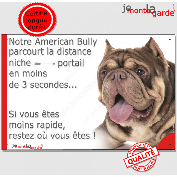 American Bully marron chocolat et tan, plaque humour "parcourt distance Niche-Portail moins 3 secondes" photo attention chien