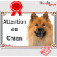 Eurasier fauve orange, plaque portail "Attention au Chien" pancarte panneau photo poil marron