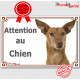 Podenco d'Ibiza tête, plaque portail "Attention au Chien" pancarte panneau chien garenne baléares photo