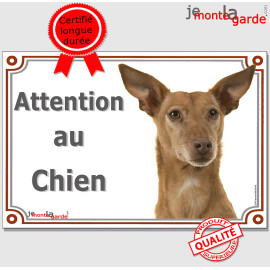 Podenco d'Ibiza fauve, plaque portail "Attention au Chien" chien garenne baléares photo, résiste pluie soleil gel, idée cadeau