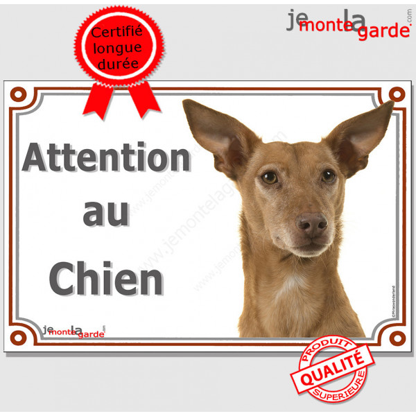 Podenco d'Ibiza tête, plaque portail "Attention au Chien" pancarte panneau chien garenne baléares photo