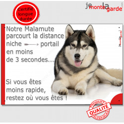 Alaskan Malamute, plaque humour "parcourt distance Niche-Portail moins 3 secondes, rapide"pancarte photo attention au chien