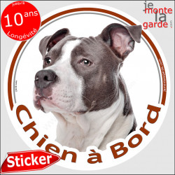 Amstaff Bleu, sticker autocollant adhésif voiture rond "Chien à Bord" Disque photo American Staffordshire Terrier