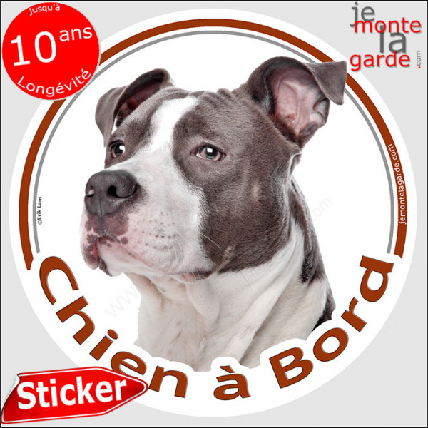 Amstaff Bleu, sticker autocollant adhésif voiture rond "Chien à Bord" Disque photo American Staffordshire Terrier
