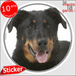 Beauceron, sticker autocollant "photo" 14 cm