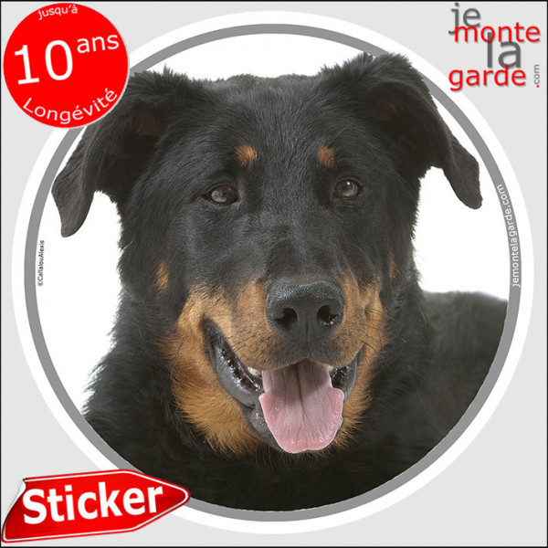 Beauceron, sticker autocollant rond "photo" intérieur ou Extérieur, Berger de Beauce noir et feu adhésif résistant intempéries