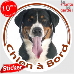 Bouvier Suisse Tête, sticker autocollant voiture rond "Chien à Bord" Disque adhésif photo race vitre voiture