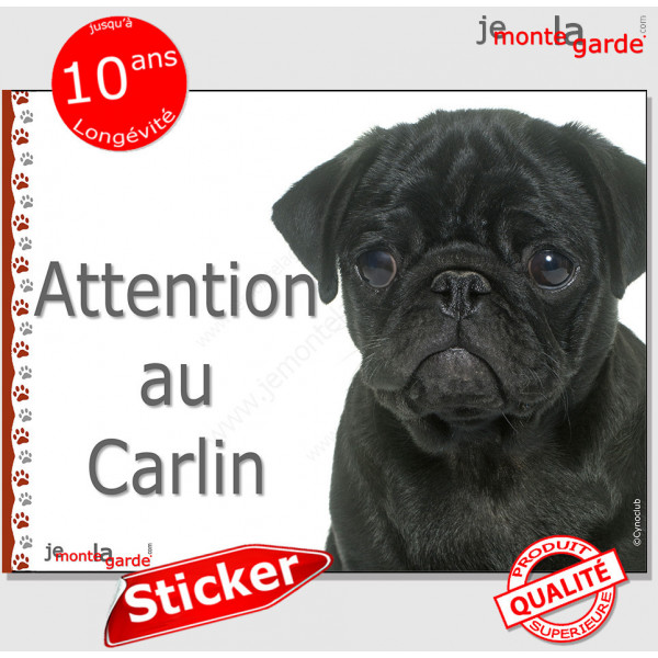 Carlin noir, panneau photo autocollant "Attention au Chien" Pancarte sticker Pub adhésif, affiche portail boite aux lettres Pug