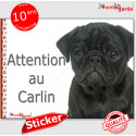 Carlin, panneau autocollant photo "Attention au Chien" 16 cm