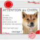 Shiba Inu fauve, plaque portail humour "Attention au Chien, Jetez Vous au Sol, courage !" pancarte panneau drôle photo