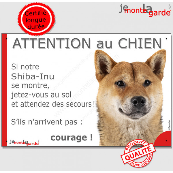 Shiba Inu fauve, plaque portail humour "Attention au Chien, Jetez Vous au Sol, courage !" pancarte panneau drôle photo