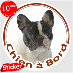 Bouledogue Français, sticker "Chien à Bord" 15 cm