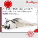 Plaque "Attention au Chien, Merci de ne pas déranger notre Husky" 24 cm NPD