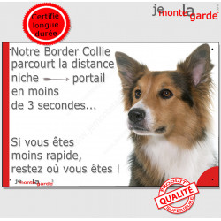 Border Collie tricolore poils longs, plaque humour "Attention au chien, distance Niche - Portail moins 3 secondes" 3 couleurs