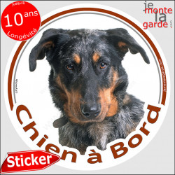 Beauceron Arlequin Tête, sticker rond "Chien à Bord" Disque autocollant Berger Beauce merle adhésif voiture auto photo