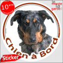 Beauceron Arlequin, sticker voiture rond "Chien à Bord" 2 tailles D
