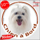 Bichon Maltais Tête, sticker autocollant rond "Chien à Bord" Disque photo adhésif voiture auto chien