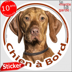 Vizsla, le Braque Hongrois, disque photo autocollant "Chien à Bord" Sticker adhésif rond vitre voiture