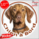 Vizsla, disque voiture autocollant "Chien à Bord" 14 cm