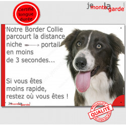 Border Collie marron poils longs, plaque humour "Attention au chien, distance Niche - Portail moins 3 secondes" chocolat brun