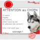Husky Sibérien gris yeux bleus, plaque portail humour "Attention au Chien, Jetez Vous au Sol, attendez secours, courage" photo