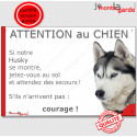 Husky gris, plaque portail "Attention au Chien, Jetez Vous au Sol" 24 cm JET