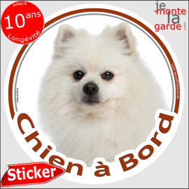 Spitz loulou complètement blanc, sticker autocollant rond "Chien à Bord" Disque adhésif vitre voiture photo, résiste dehors
