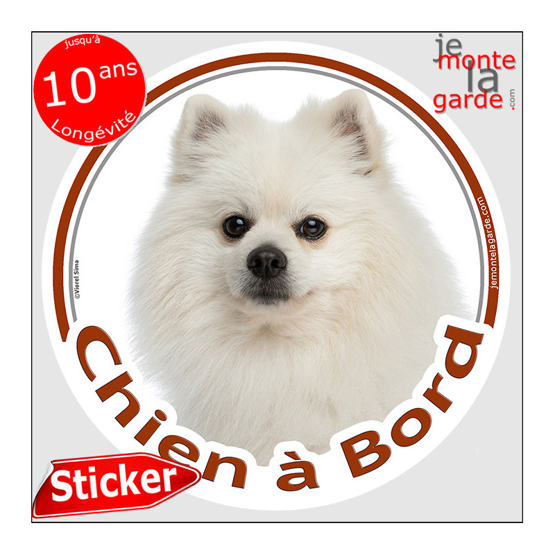 Spitz loulou complètement blanc, sticker autocollant rond "Chien à Bord" Disque adhésif vitre voiture photo, résiste dehors Spitz loulou complètement blanc, sticker autocollant rond "Chien à Bord" Disque adhésif vitre voiture photo, résiste dehors