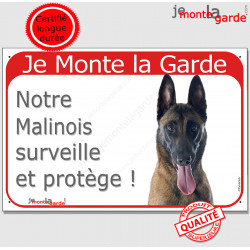 Berger Belge Malinois Tête, plaque portail rouge "Je Monte la Garde, surveille et protège" pancarte panneau photo