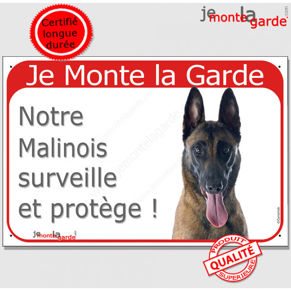 Berger Belge Malinois Tête, plaque portail rouge "Je Monte la Garde, surveille et protège" pancarte panneau photo