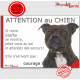 Staffie bringé, plaque humour "Jetez Vous au Sol, Attention au Chien, courage" pancarte panneau bull staffordshire Terrier zébré