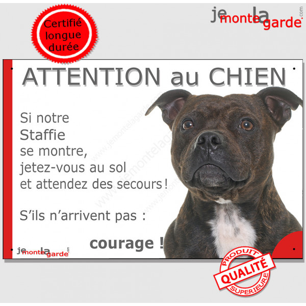 Staffie bringé, plaque humour "Jetez Vous au Sol, Attention au Chien, courage" pancarte panneau bull staffordshire Terrier zébré