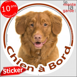 Nova Scotia Retriever, sticker rond "Chien à Bord" 14 cm