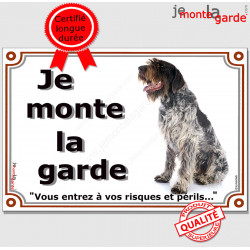 Griffon Korthals assis, plaque portail "Je Monte la Garde, risques et périls" pancarte panneau Khortal attention au chien photo