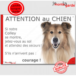 Colley fauve, plaque portail humour "Attention au Chien, Jetez Vous au Sol, secours, courage" photo Lassie