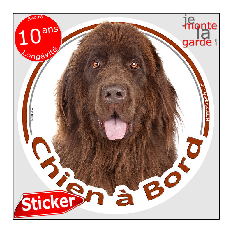 Terre Neuve marron chocolat bronze, Sticker autocollant rond "Chien à Bord" Disque vitre voiture photo, résiste extérieur Terre Neuve marron chocolat bronze, Sticker autocollant rond "Chien à Bord" Disque vitre voiture photo, résiste extérieur