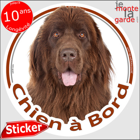 Terre Neuve marron, sticker voiture "Chien à Bord" 2 Tailles Terre Neuve marron, sticker voiture "Chien à Bord" 2 Tailles