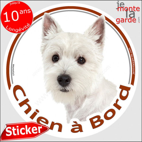 Westie Tête,, sticker autocollant rond "Chien à Bord" Disque adhésif vitre voiture Westy photo race West Highlands White Terrier