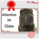 Shar-Peï marron chocolat, plaque portail "Attention au Chien" pancarte panneau photo Sharpei brun