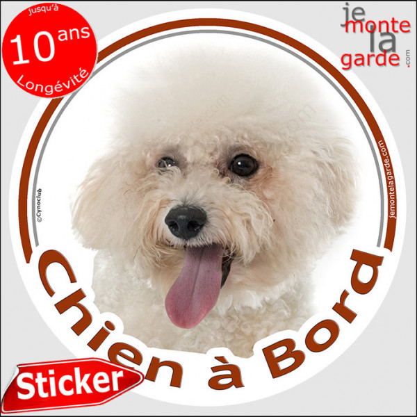 Bichon Frisé Tête, sticker autocollant rond "Chien à Bord" Disque photo adhésif chien vitre auto voiture