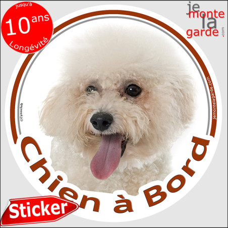 Bichon Frisé, sticker voiture rond photo "Chien à Bord" résiste pluie soleil gel, idée cadeau, 2 tailles D Bichon Frisé, sticker voiture rond photo "Chien à Bord" résiste pluie soleil gel, idée cadeau, 2 tailles D