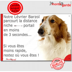 Lévrier Barzoï blanc et fauve marron, plaque humour "parcourt distance Niche-Portail moins 3 secondes, rapide" pancarte photo