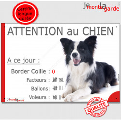 Plaque portail humour attention au chien Nombre de Voleurs, ballons, facteurs, Border Collie noir et blanc poils longs couché