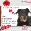 Beauceron Tête, plaque "Membre de la Famille" 24 cm LOV