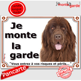 Terre Neuve bronze marron chocolat, plaque portail "Je Monte la Garde, vous entrez à vos risques et périls" photo, résiste pluie
