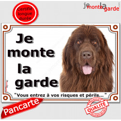 Terre Neuve bronze marron chocolat, plaque portail "Je Monte la Garde, risques périls" pancarte panneau photo