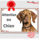 Vizsla, le Braque Hongrois, plaque portail "Attention au Chien" panneau affiche pancarte photo