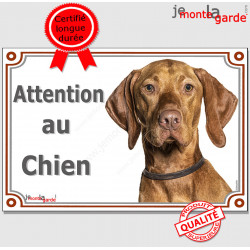 Vizsla, le Braque Hongrois, plaque portail "Attention au Chien" panneau affiche pancarte photo