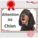 Setter Gordon noir et feu, plaque portail "Attention au Chien" pancarte panneau photo