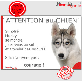 Husky Sibérien blanc et gris aux yeux bleus, plaque humour "Attention au Chien, Jetez Vous au Sol, courage" photo